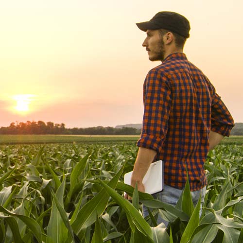 Becoming a Crop Insurance Agent: How to Specialize